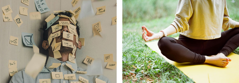 Stress påverkar tarmfloran