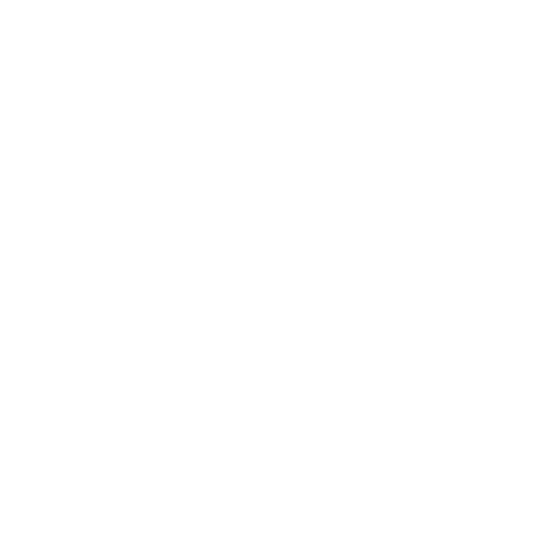Icons8 Instagram 500